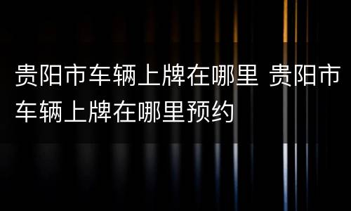 贵阳市车辆上牌在哪里 贵阳市车辆上牌在哪里预约