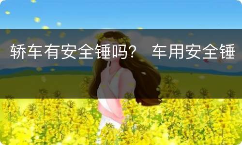 轿车有安全锤吗？ 车用安全锤
