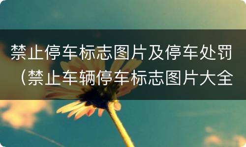 禁止停车标志图片及停车处罚（禁止车辆停车标志图片大全）