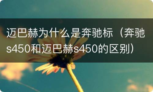 迈巴赫为什么是奔驰标（奔驰s450和迈巴赫s450的区别）