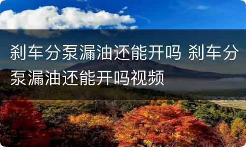 刹车分泵漏油还能开吗 刹车分泵漏油还能开吗视频