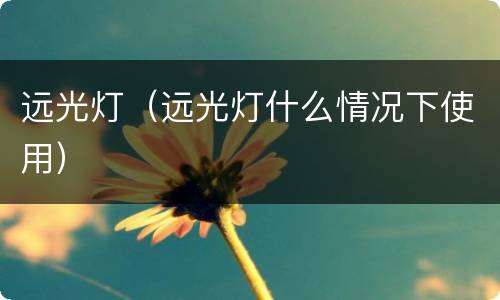 远光灯（远光灯什么情况下使用）