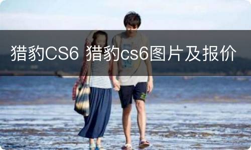 猎豹CS6 猎豹cs6图片及报价
