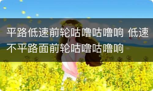 平路低速前轮咕噜咕噜响 低速不平路面前轮咕噜咕噜响