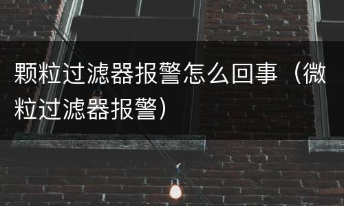 颗粒过滤器报警怎么回事（微粒过滤器报警）
