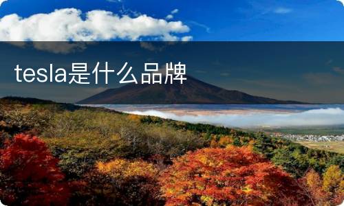 tesla是什么品牌