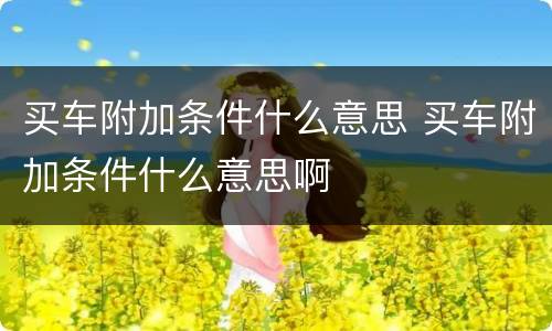 买车附加条件什么意思 买车附加条件什么意思啊