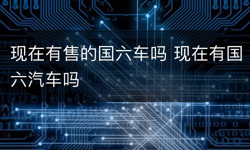 现在有售的国六车吗 现在有国六汽车吗
