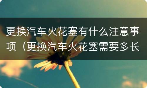 更换汽车火花塞有什么注意事项（更换汽车火花塞需要多长时间）