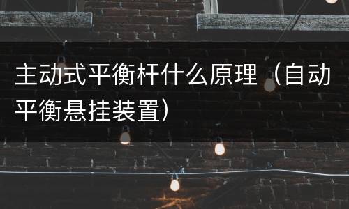 主动式平衡杆什么原理（自动平衡悬挂装置）