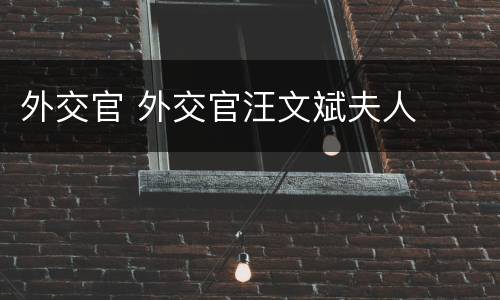 外交官 外交官汪文斌夫人