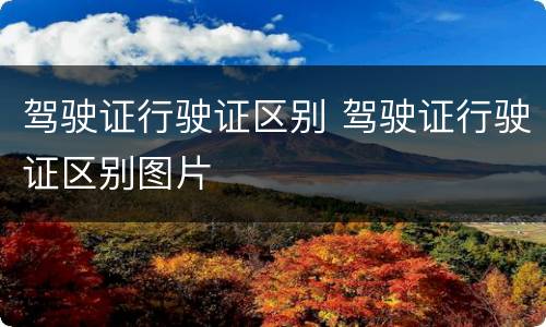 驾驶证行驶证区别 驾驶证行驶证区别图片