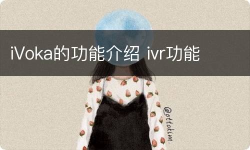 iVoka的功能介绍 ivr功能