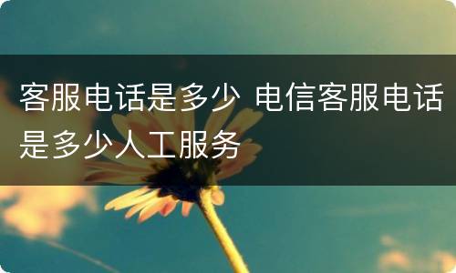 客服电话是多少 电信客服电话是多少人工服务