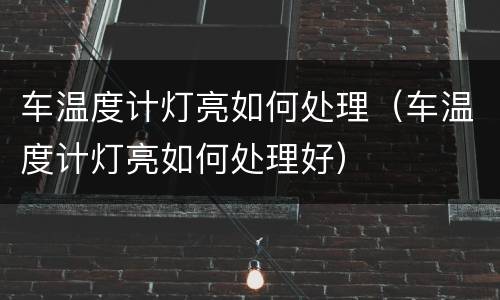 车温度计灯亮如何处理（车温度计灯亮如何处理好）