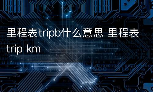 里程表tripb什么意思 里程表trip km