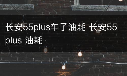 长安55plus车子油耗 长安55 plus 油耗