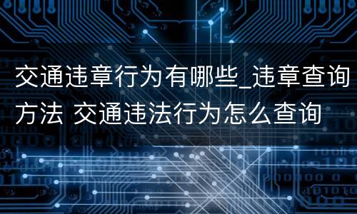 交通违章行为有哪些_违章查询方法 交通违法行为怎么查询
