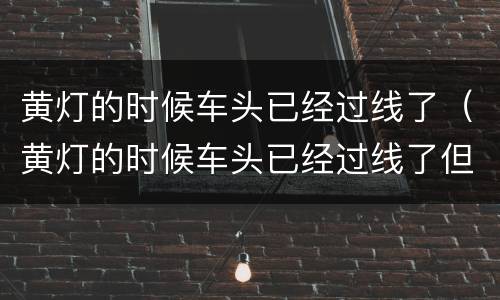 黄灯的时候车头已经过线了（黄灯的时候车头已经过线了但是停车了,又倒车了）