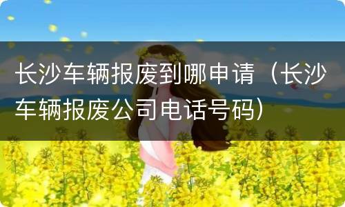 长沙车辆报废到哪申请（长沙车辆报废公司电话号码）