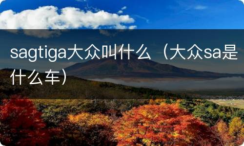 sagtiga大众叫什么（大众sa是什么车）