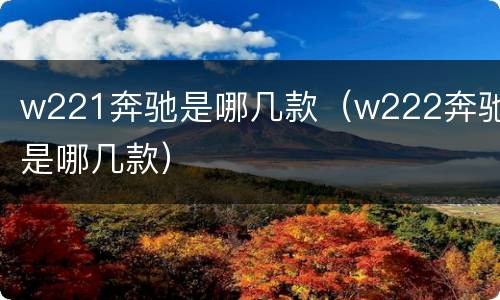 w221奔驰是哪几款（w222奔驰是哪几款）