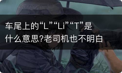 车尾上的“L”“Li”“T”是什么意思?老司机也不明白