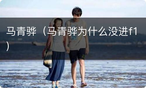 马青骅（马青骅为什么没进f1）