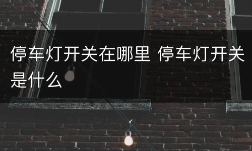 停车灯开关在哪里 停车灯开关是什么