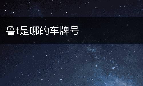 鲁t是哪的车牌号