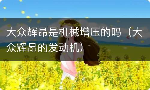 大众辉昂是机械增压的吗（大众辉昂的发动机）