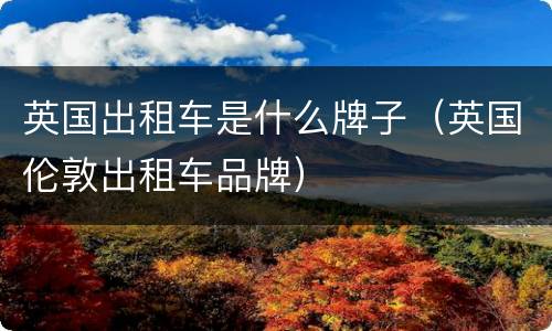 英国出租车是什么牌子（英国伦敦出租车品牌）