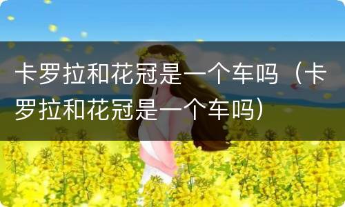 卡罗拉和花冠是一个车吗（卡罗拉和花冠是一个车吗）