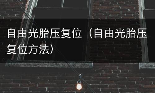 自由光胎压复位（自由光胎压复位方法）