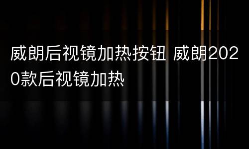 威朗后视镜加热按钮 威朗2020款后视镜加热