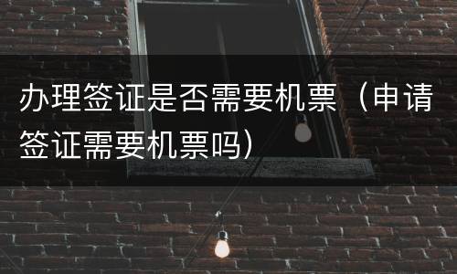 办理签证是否需要机票（申请签证需要机票吗）