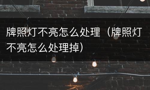 牌照灯不亮怎么处理（牌照灯不亮怎么处理掉）