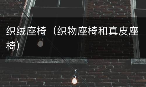 织绒座椅（织物座椅和真皮座椅）