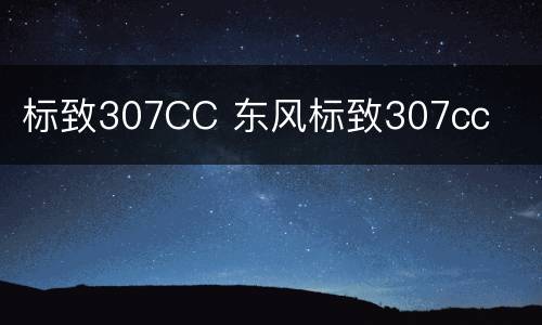 标致307CC 东风标致307cc