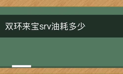 双环来宝srv油耗多少