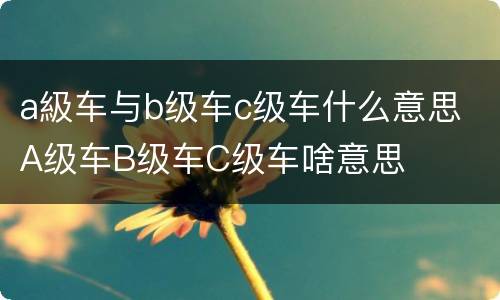 a級车与b级车c级车什么意思 A级车B级车C级车啥意思