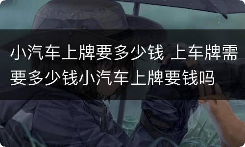小汽车上牌要多少钱 上车牌需要多少钱小汽车上牌要钱吗