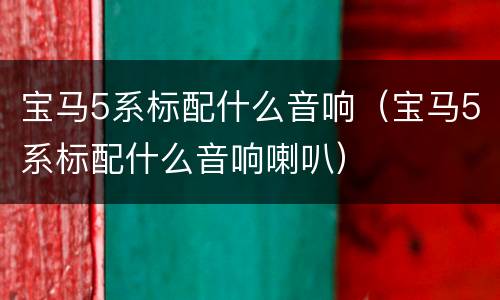 宝马5系标配什么音响（宝马5系标配什么音响喇叭）