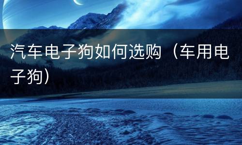 汽车电子狗如何选购（车用电子狗）