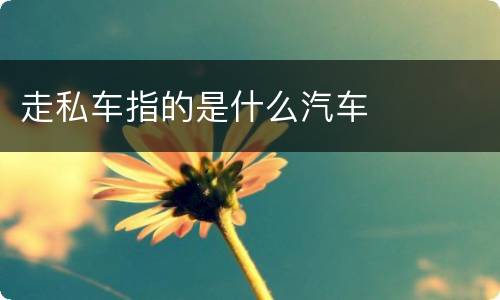 走私车指的是什么汽车