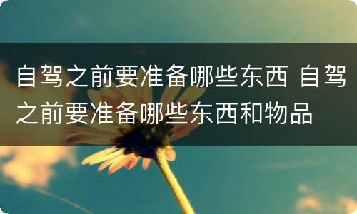 自驾之前要准备哪些东西 自驾之前要准备哪些东西和物品