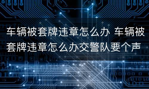 车辆被套牌违章怎么办 车辆被套牌违章怎么办交警队要个声明怎么写
