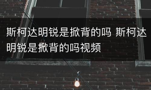 斯柯达明锐是掀背的吗 斯柯达明锐是掀背的吗视频