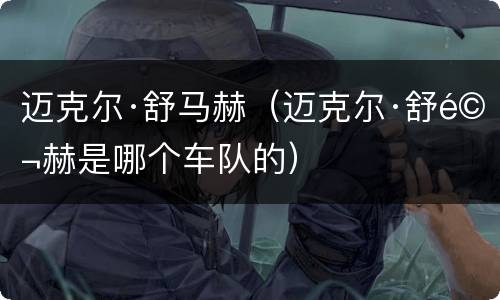 迈克尔·舒马赫（迈克尔·舒马赫是哪个车队的）