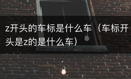 z开头的车标是什么车（车标开头是z的是什么车）